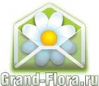 Логотип компании Доставка цветов Гранд Флора (ф-л г. Чистополь)